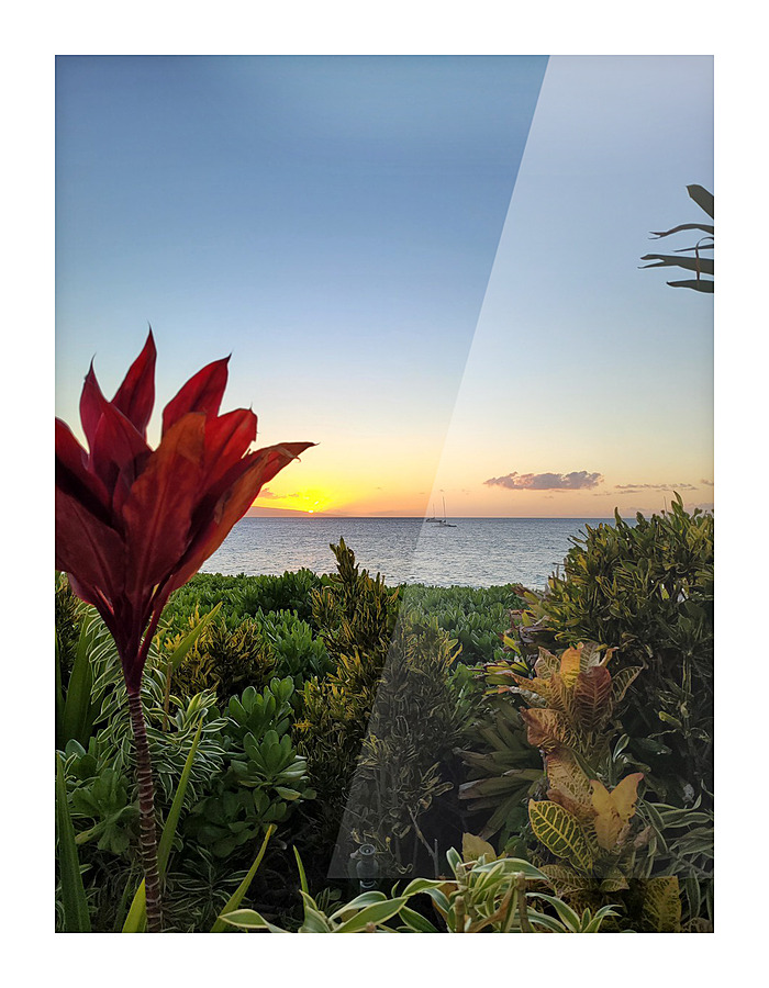 Maui  Flowers Picture Frame print
