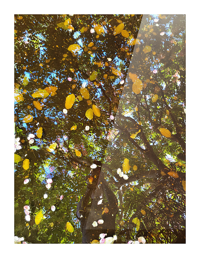 Just a puddle  Picture Frame print