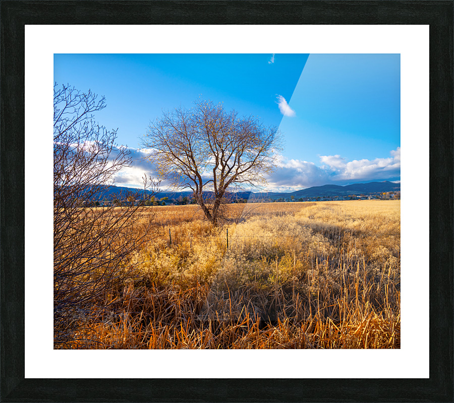 DJH1 Picture Frame print