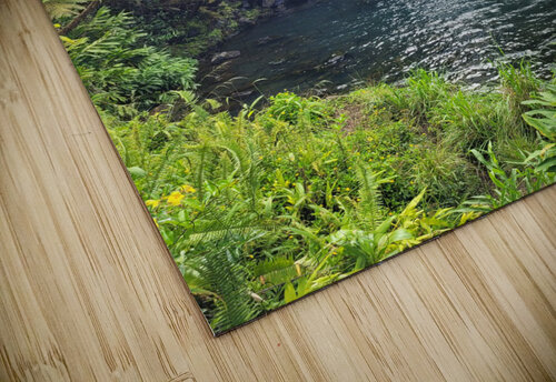 Maui Falls Miguelito Hornamenaz de Trimm puzzle