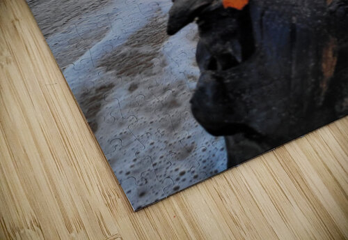 Ocean Foamy Flower Miguelito Hornamenaz de Trimm puzzle
