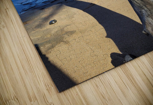 Beach longing  Miguelito Hornamenaz de Trimm puzzle
