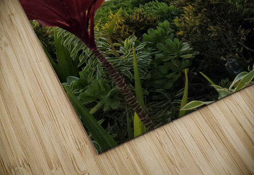 Maui  Flowers Miguelito Hornamenaz de Trimm puzzle