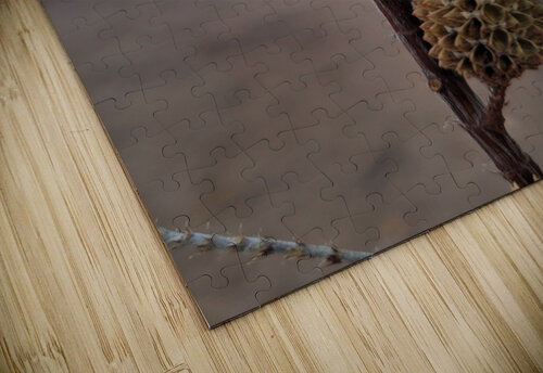 Beach Pine Cone Miguelito Hornamenaz de Trimm puzzle