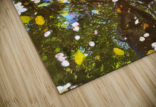 Just a puddle  Miguelito Hornamenaz de Trimm puzzle