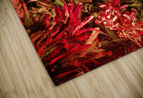 Maui Sunset  Miguelito Hornamenaz de Trimm puzzle