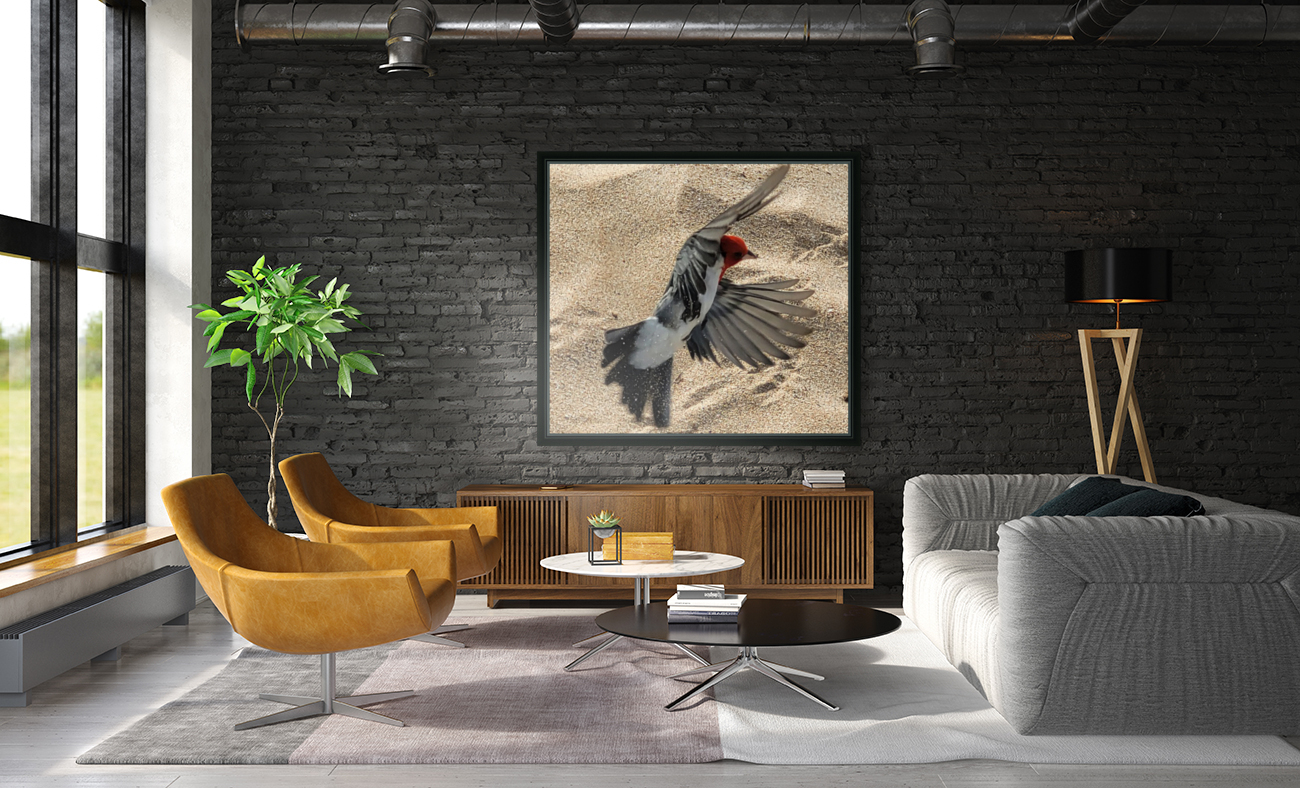 Beach Birdy Reproduction