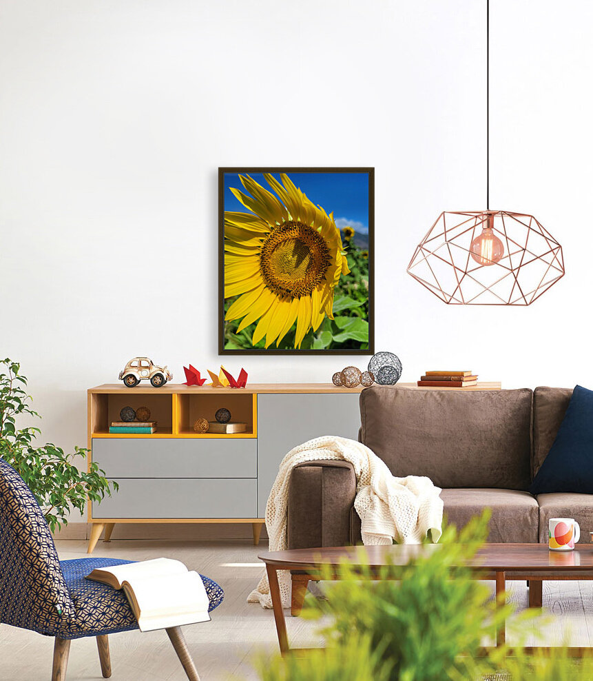 Sun Flower Reproduction