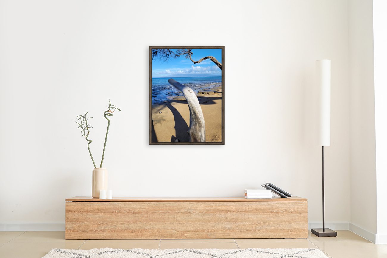Beach longing  Reproduction