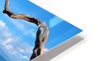 Beach longing  HD Metal print
