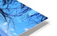 Rock This HD Metal print