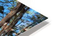 Keauhau Beach HD Metal print