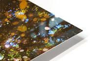 Just a puddle  HD Metal print