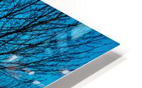 suneset HD Metal print