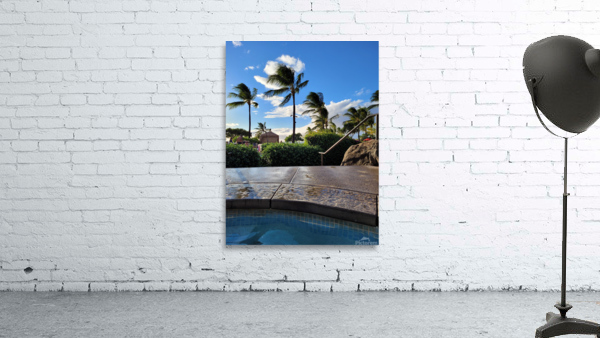 Ghost Cloud Palm Tree Wall Preview