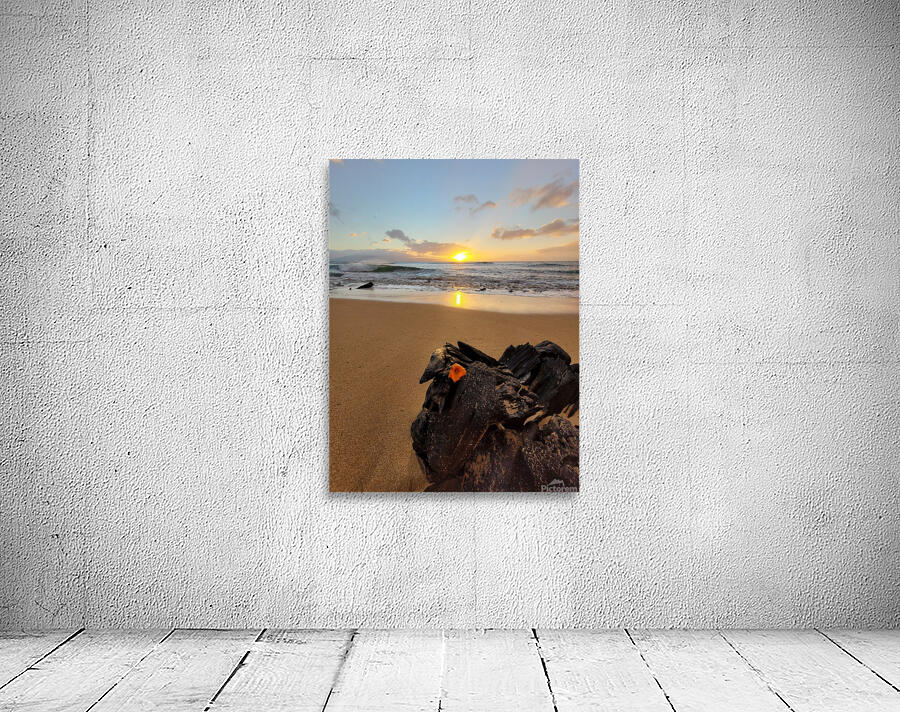 Ocean Flower Sunset  Wall Preview