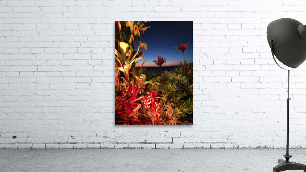 Maui Sunset  Wall Preview