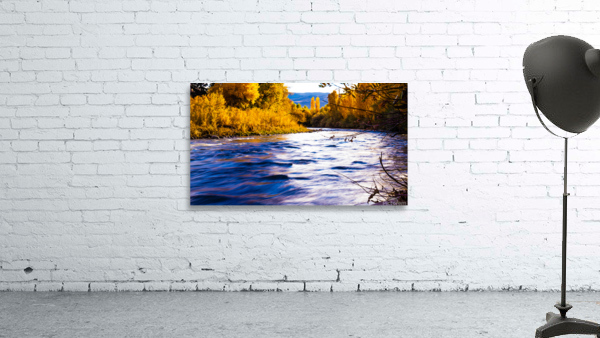 oxbow1 Wall Preview