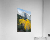 Mount Abram Gold Acrylic Print