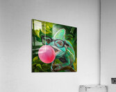 A chameleons wearing glasses and blowing a bubble Acrylic Print