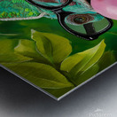 A chameleons wearing glasses and blowing a bubble Metal print