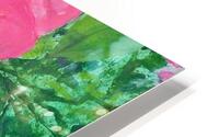 bolina HD Metal print