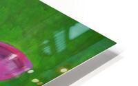 vache rose HD Metal print