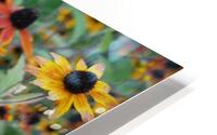 equinacia HD Metal print