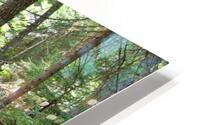 nature 02 HD Metal print