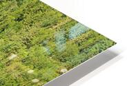 nature 03 HD Metal print