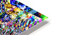 A Methodical Dervish improved color HD Metal print