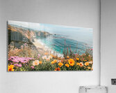 Wildflower Blooming along the Beautiful Coastline Acrylic Print
