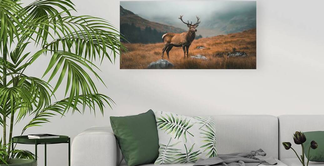 Beautiful brown deer with large horns  against a backdrop of a mountain landscape and a blue sky.  by Vaivirga