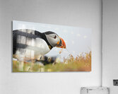 0015 MISC GREG JOHNSON Acrylic Print