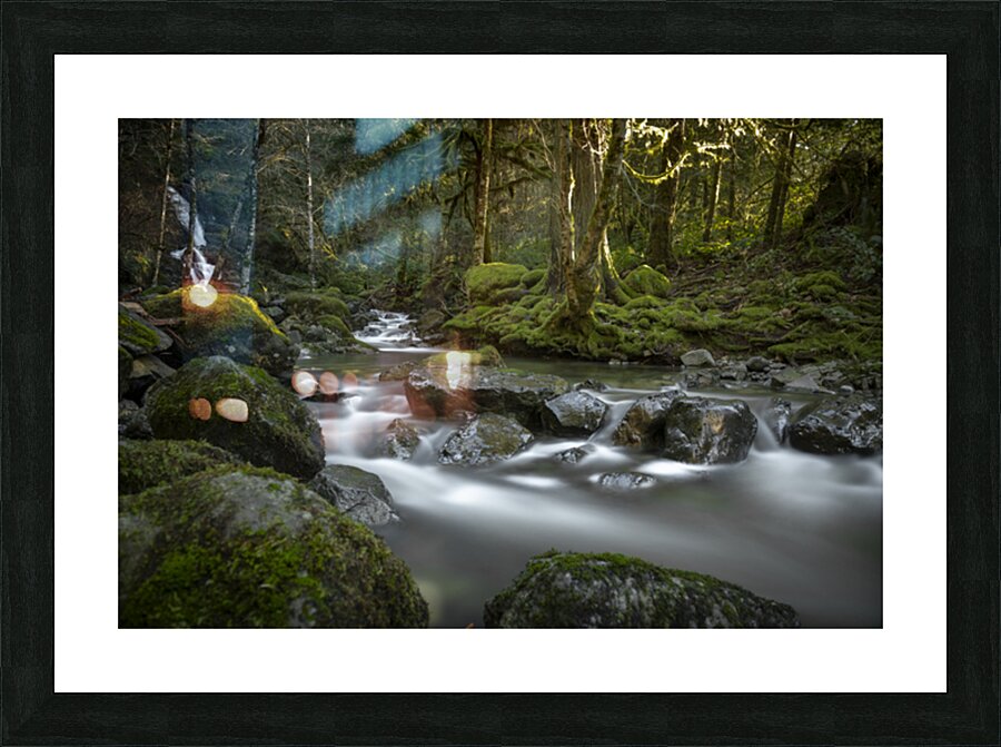0017 MISC GREG JOHNSON Picture Frame print