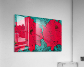 Azaleas - The Lovers Acrylic Print