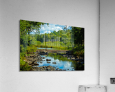 Adirondack Beaver Dam Acrylic Print