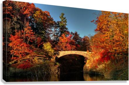 Crossing into Autumn Canvas Print