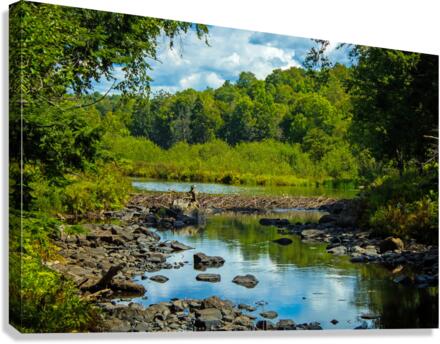 Adirondack Beaver Dam Canvas Print