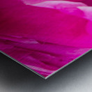 Peony Blossom Metal print