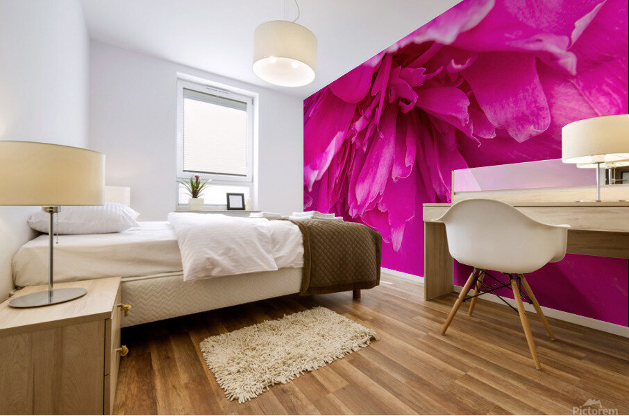 Peony Blossom Mural print