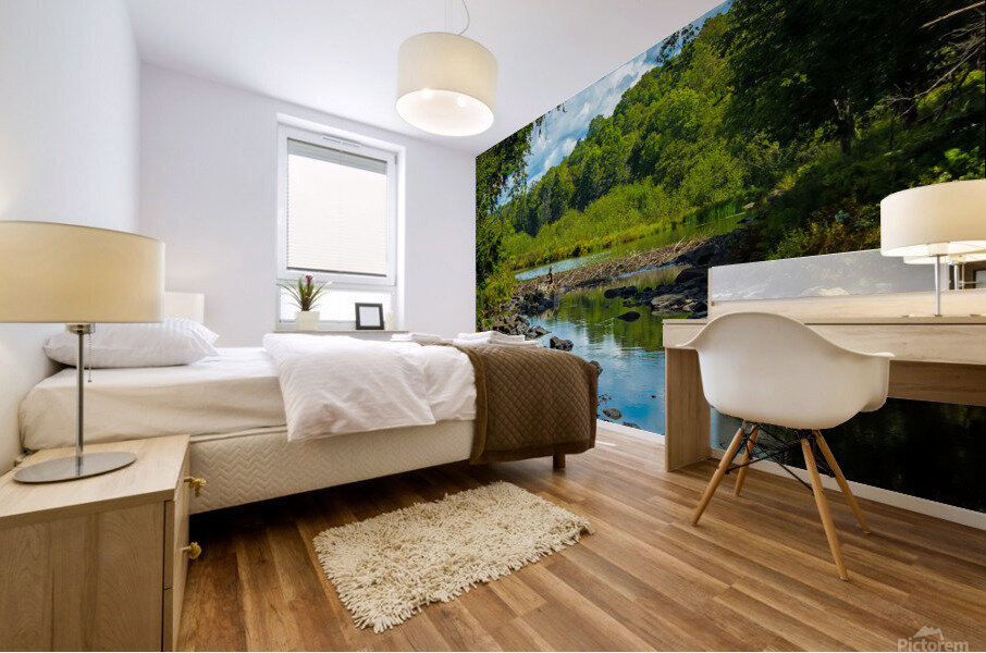 Adirondack Beaver Dam Mural print