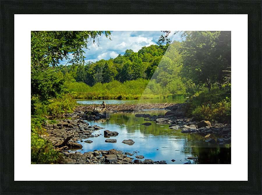 Adirondack Beaver Dam Picture Frame print