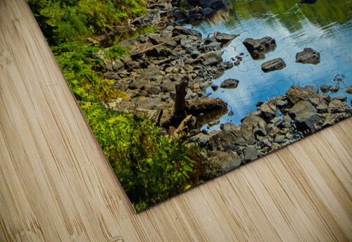 Adirondack Beaver Dam Nathan Bickel puzzle