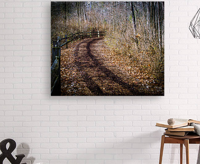 The Woods Road by Nathan Bickel