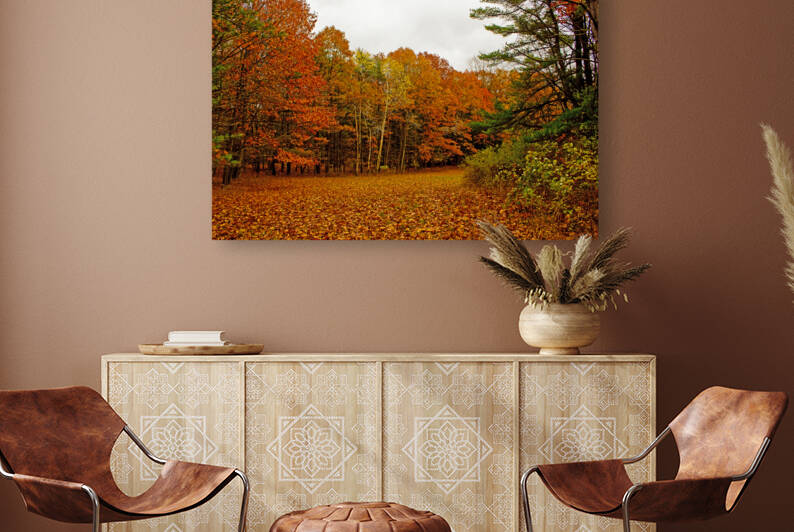 Woodland Clearing on Autumn Day by Nathan Bickel