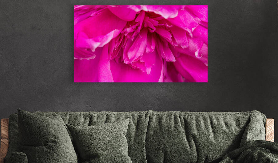 Peony Blossom by Nathan Bickel