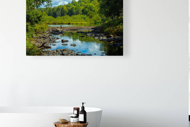 Adirondack Beaver Dam by Nathan Bickel