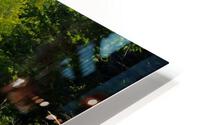 Adirondack Beaver Dam HD Metal print