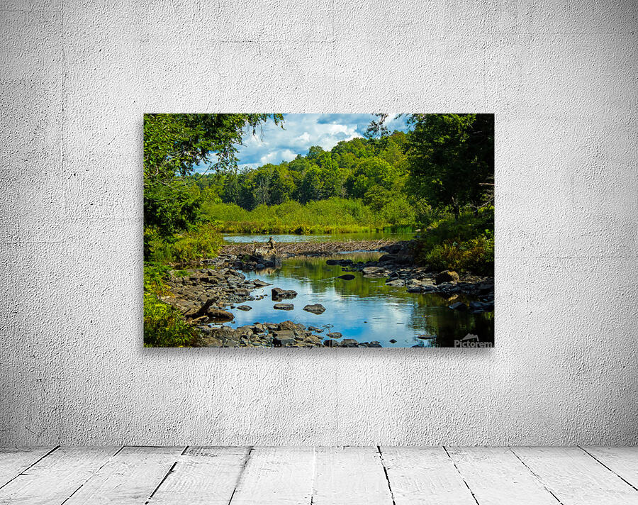Adirondack Beaver Dam Wall Preview